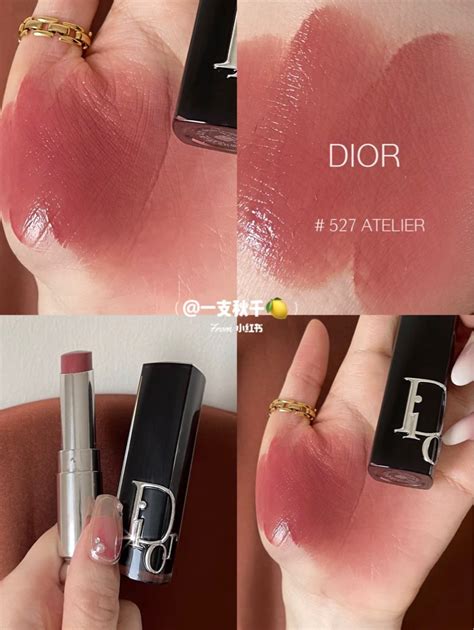 dior 527